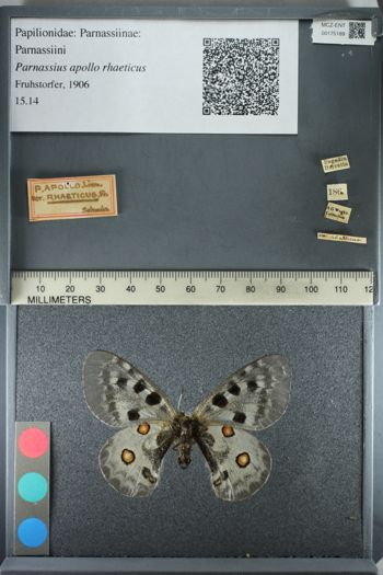 Media type: image;   Entomology 175189